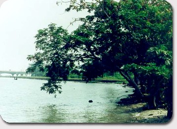 unilag lagoon